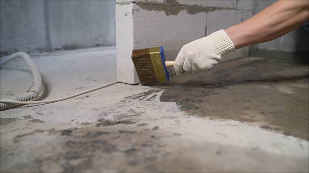 24/7 Emergency Basement Waterproofing experts in River Rouge, MI